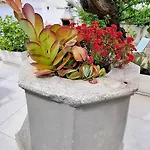 City Center Palma